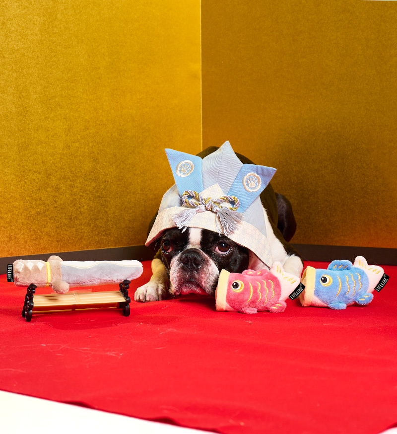 こどもの日トイセット