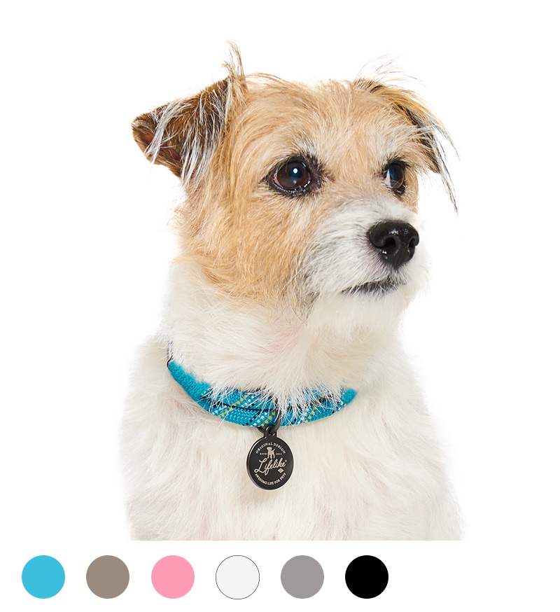 ザイルロープカラー