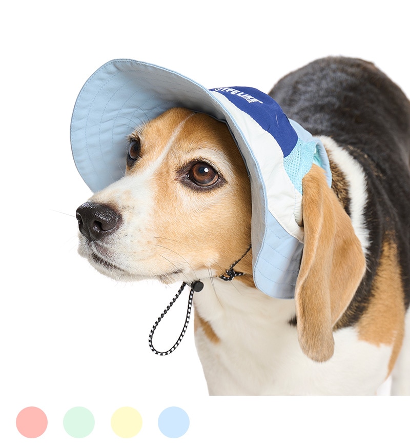 犬用 涼しい ひんやり 熱中症対策 帽子 白内障予防 COOLINGマウンテンハット