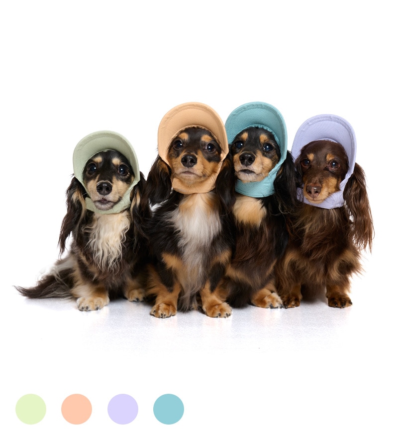 ペールトーンカラーキャップ