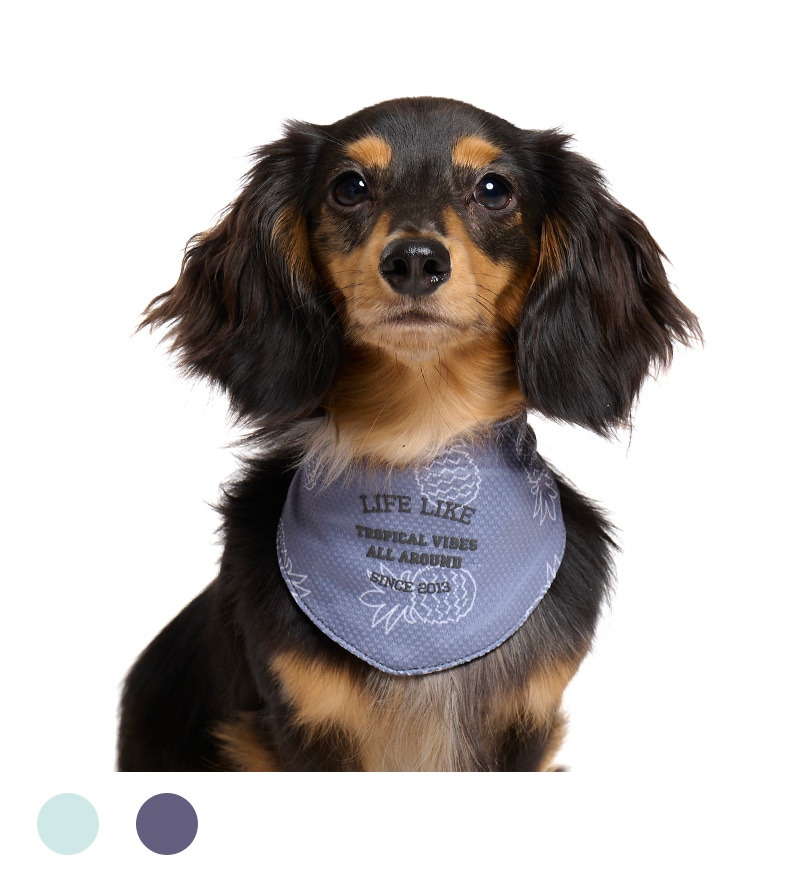 サマーステッチプリントバンダナ