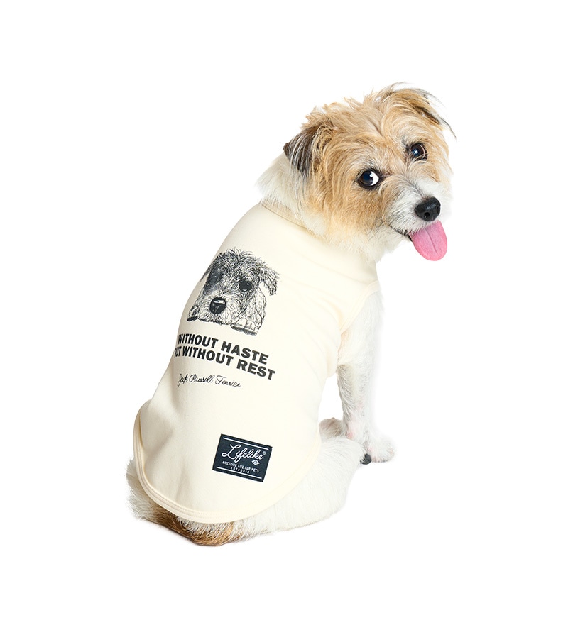 ドッグタイプタンク｜JACK