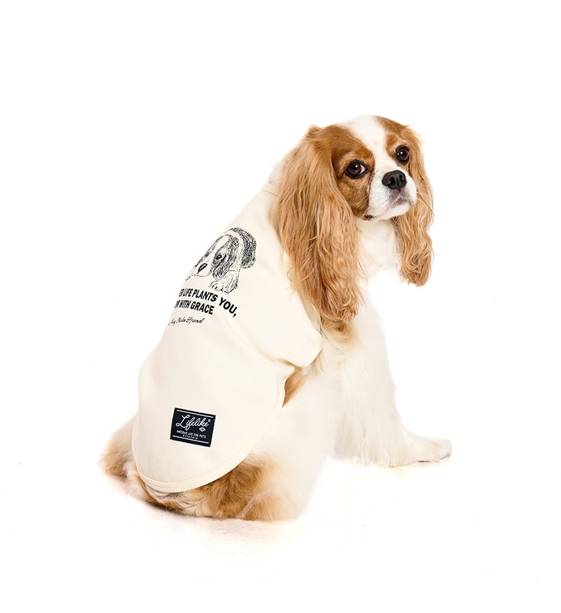 ドッグタイプタンク｜CAVALIER