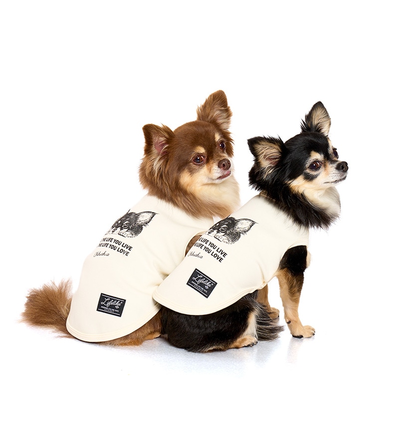 ドッグタイプタンク｜CHIHUAHUA