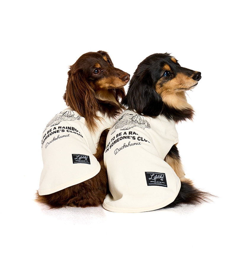 ドッグタイプタンク｜DACHS