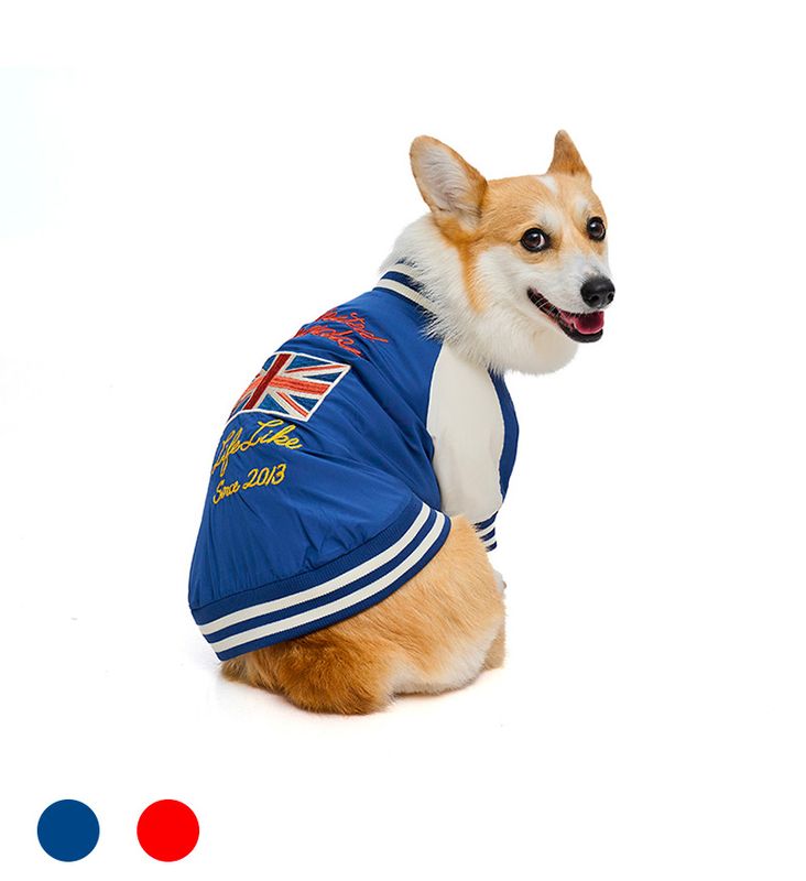 フラッグスカジャン