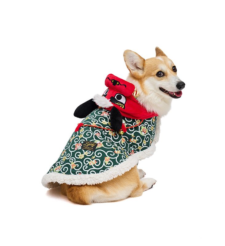正月獅子舞ポンチョ