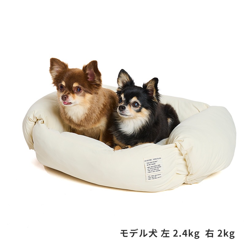 COOLサイドフォールドネスベッド