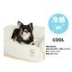 COOLサイドフォールドネスベッド