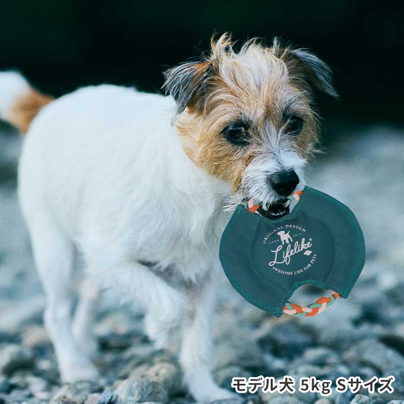 パラコードフリスビー | Toys（おもちゃ） | LIFE LIKE 【犬服グッズ