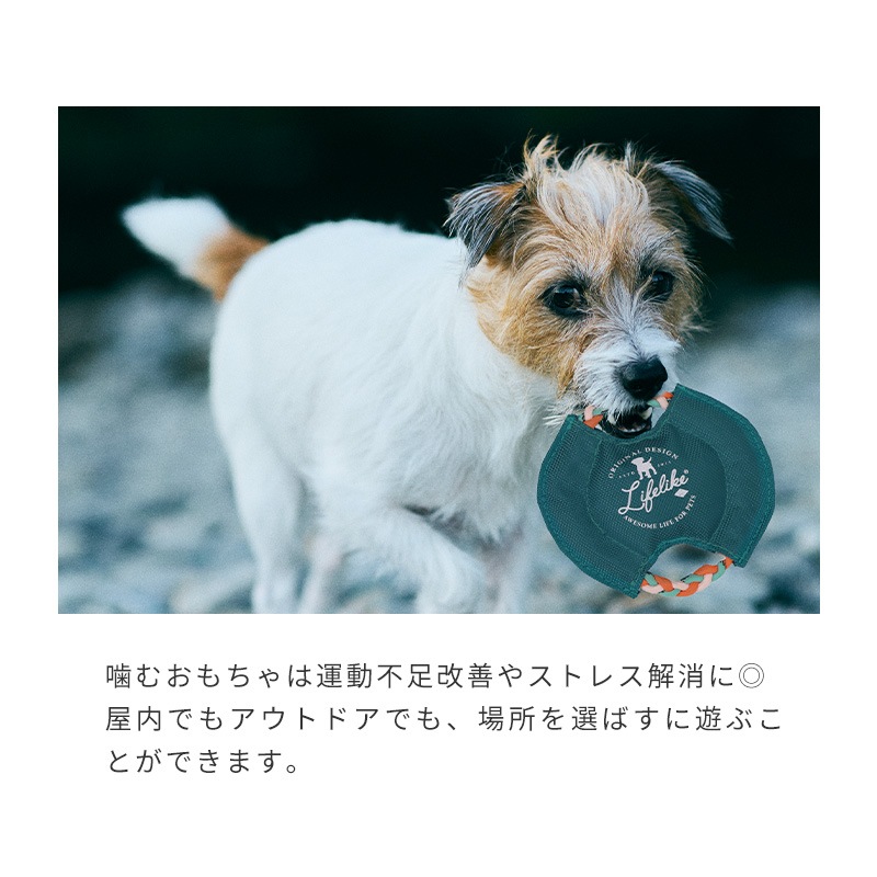 パラコードフリスビー | Toys（おもちゃ） | LIFE LIKE 【犬服グッズ