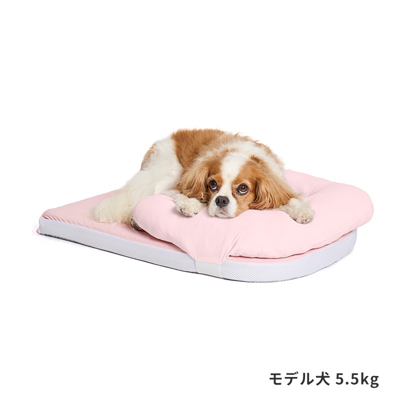 ピロー付きファイバーベッド