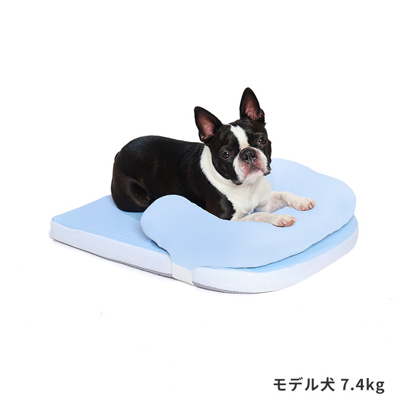 ピロー付きファイバーベッド