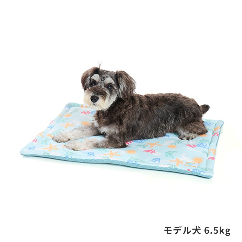 COOLマリンパターンマット