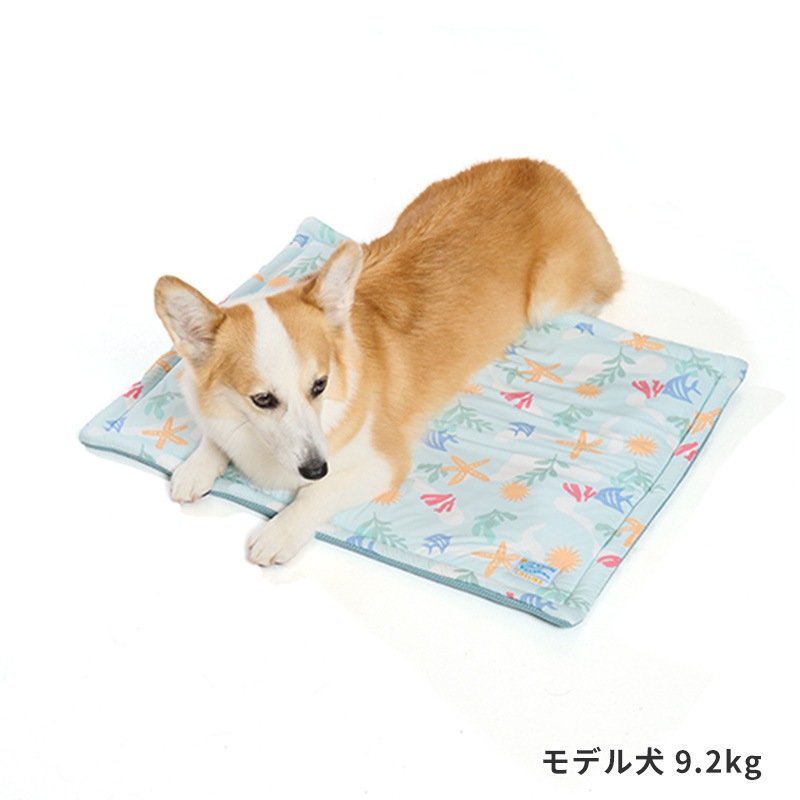 COOLマリンパターンマット