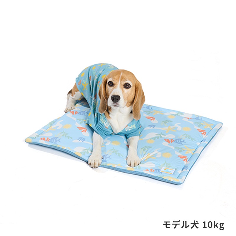 COOLマリンパターンマット