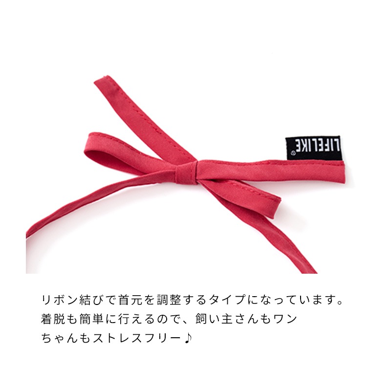 還暦スタイ