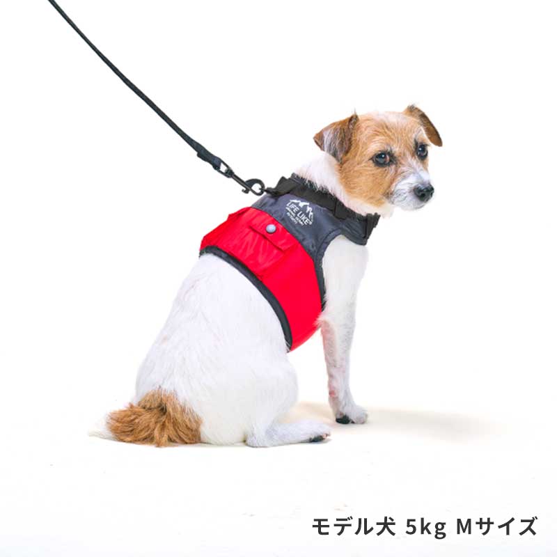 OUTDOORマウンテンハーネス