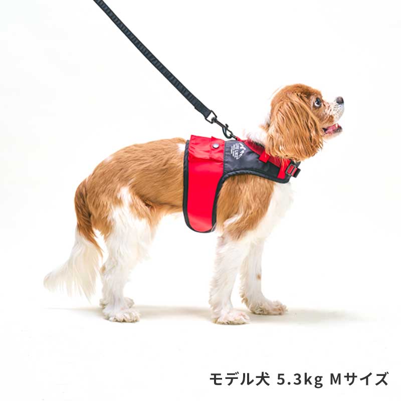 OUTDOORマウンテンハーネス