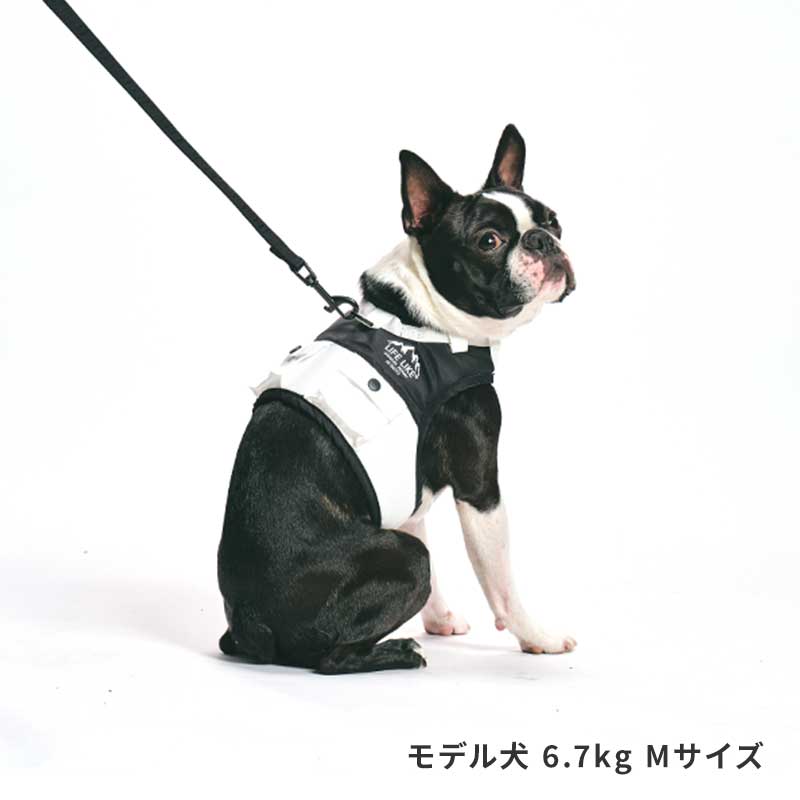 OUTDOORマウンテンハーネス