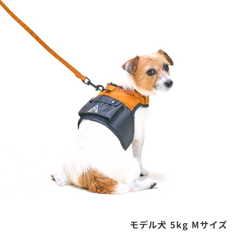 OUTDOORロゴハーネス