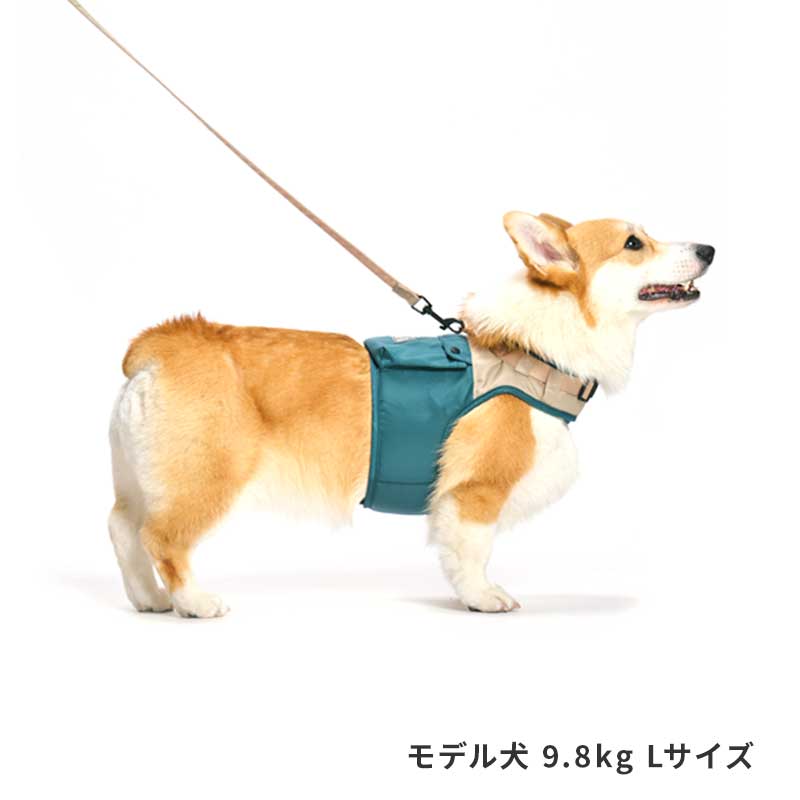 OUTDOORロゴハーネス