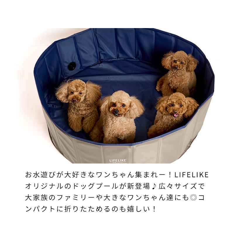 LIFELIKEドッグプール
