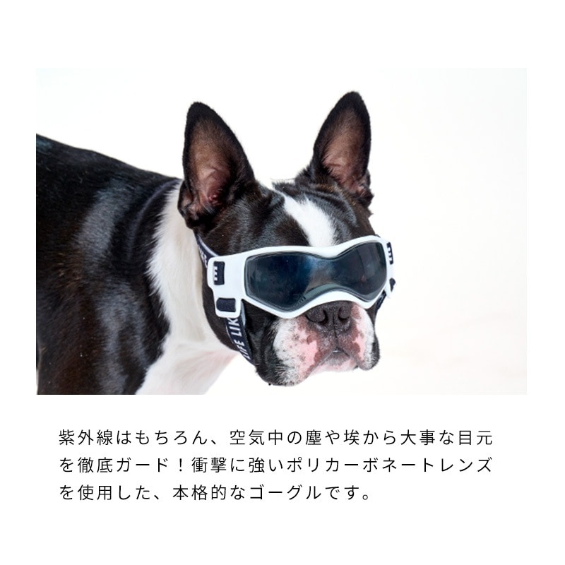 LIFELIKEゴーグル | Others（その他）,サングラス&ゴーグル | LIFE