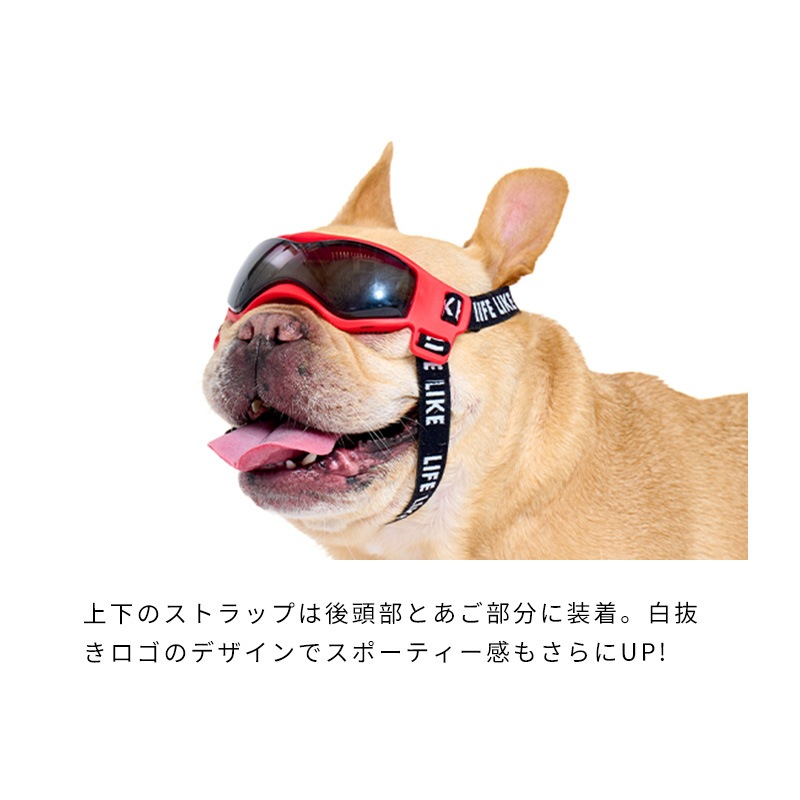 LIFELIKEゴーグル