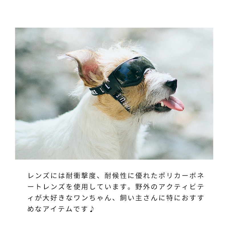 LIFELIKEゴーグル