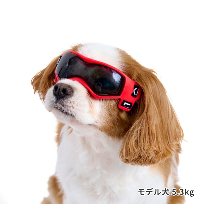 LIFELIKEゴーグル
