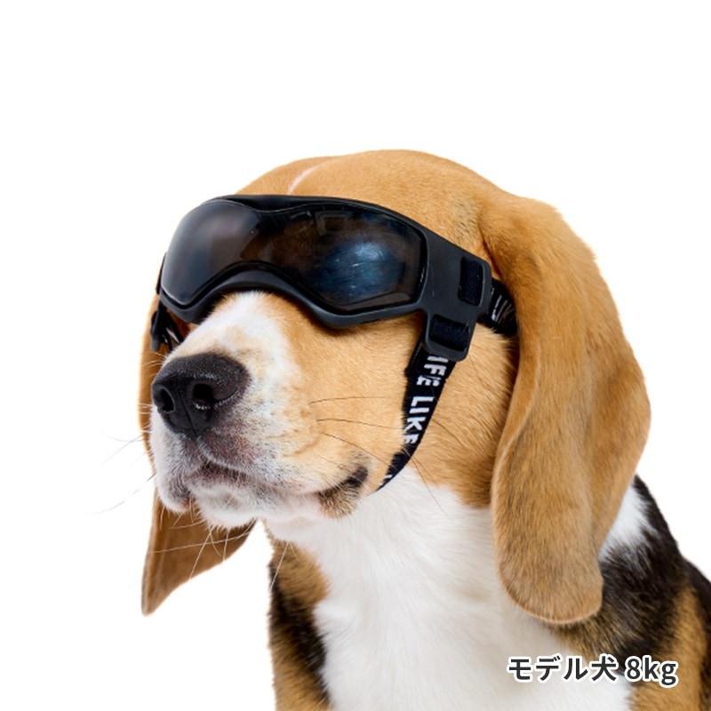 LIFELIKEゴーグル