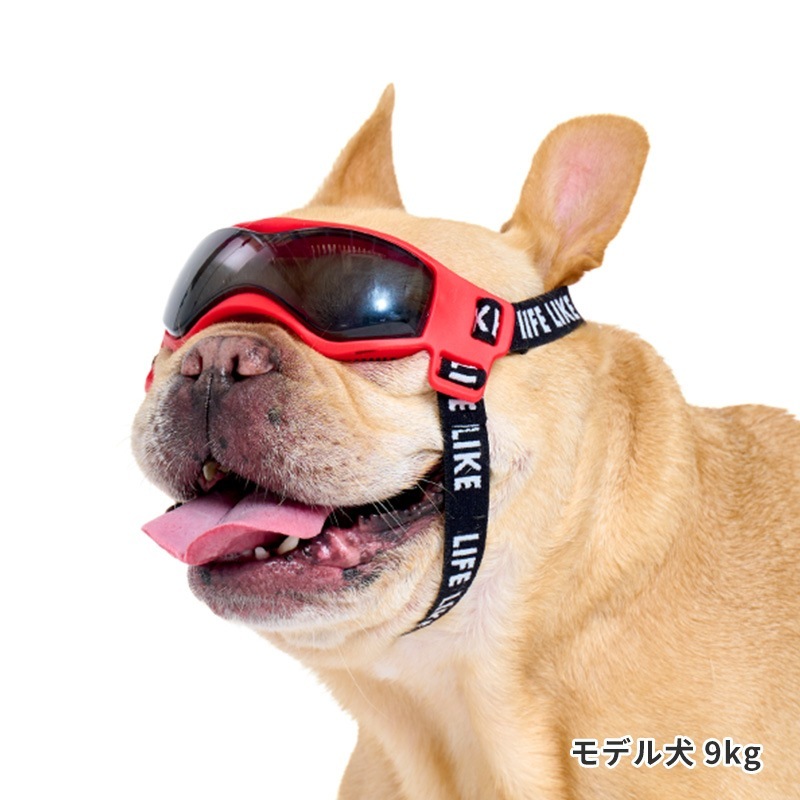 LIFELIKEゴーグル