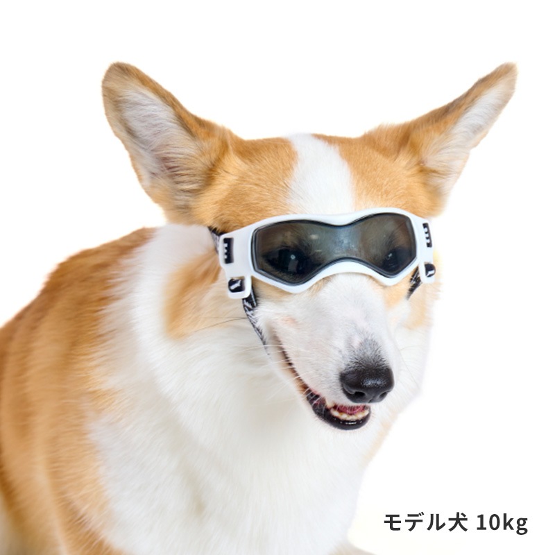 LIFELIKEゴーグル