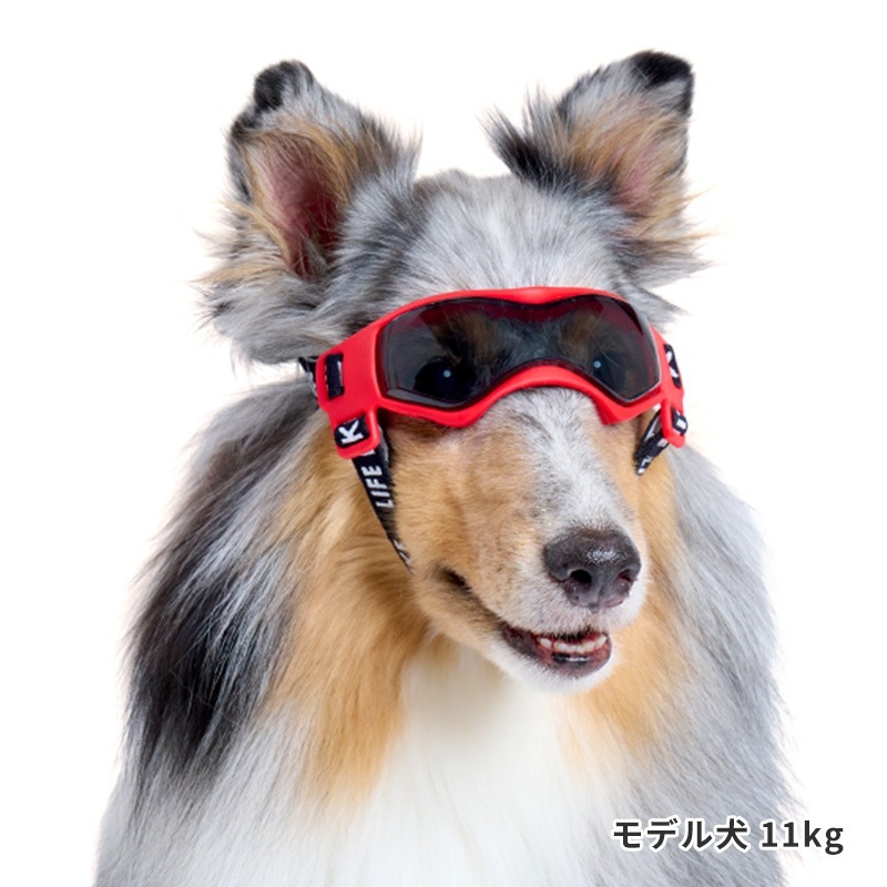 LIFELIKEゴーグル