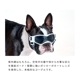 LIFELIKEゴーグル