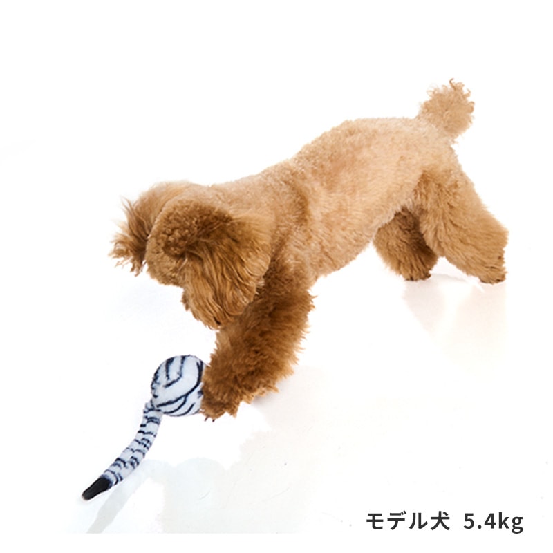 しっぽバウンドトイ