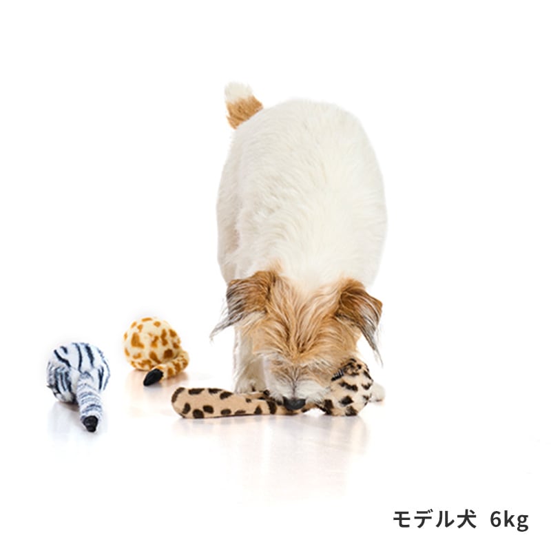 しっぽバウンドトイ