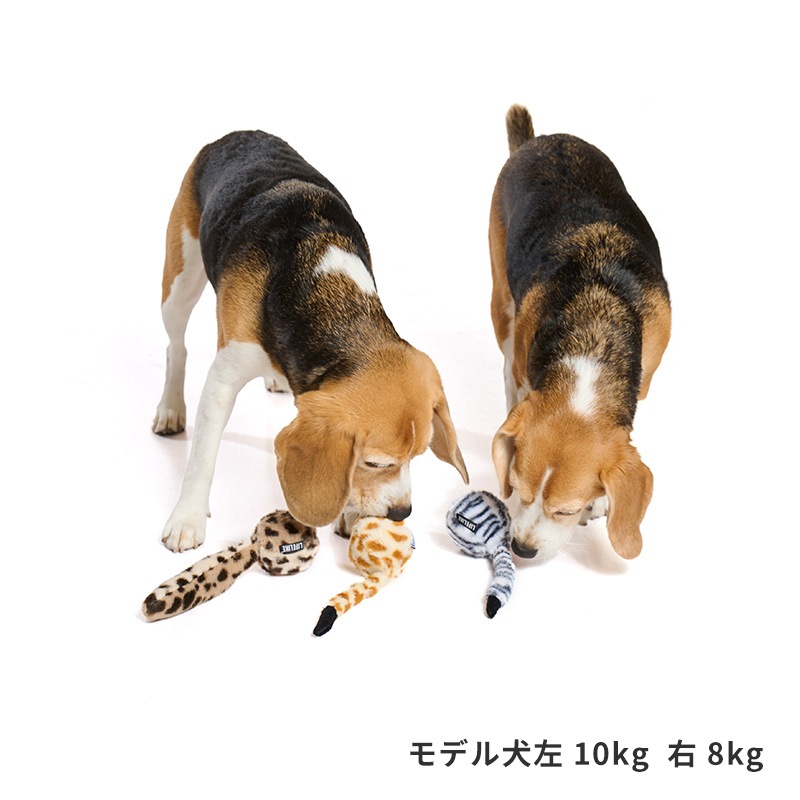 しっぽバウンドトイ