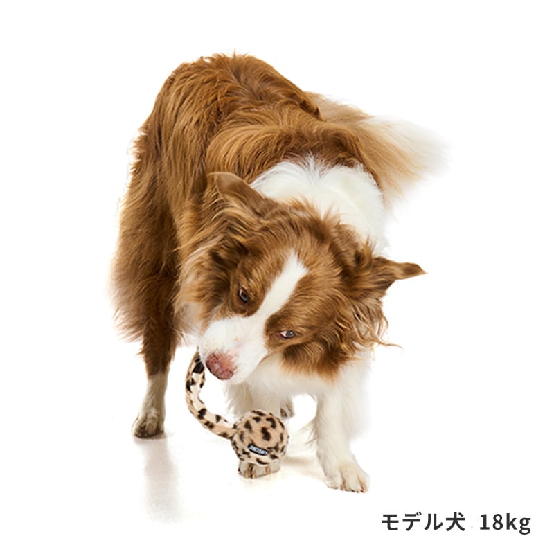 しっぽバウンドトイ