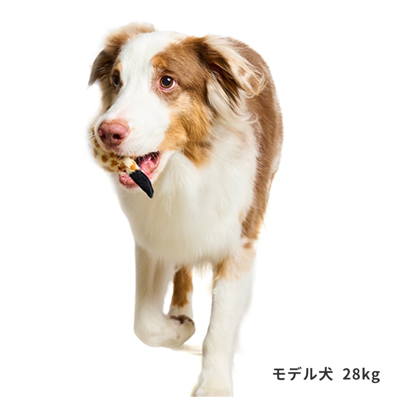 しっぽバウンドトイ