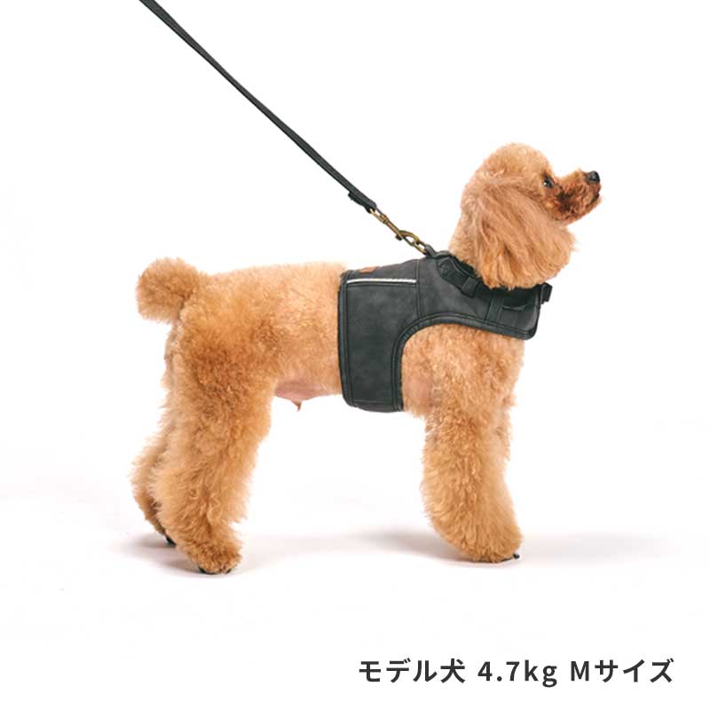 レザージャケットハーネス