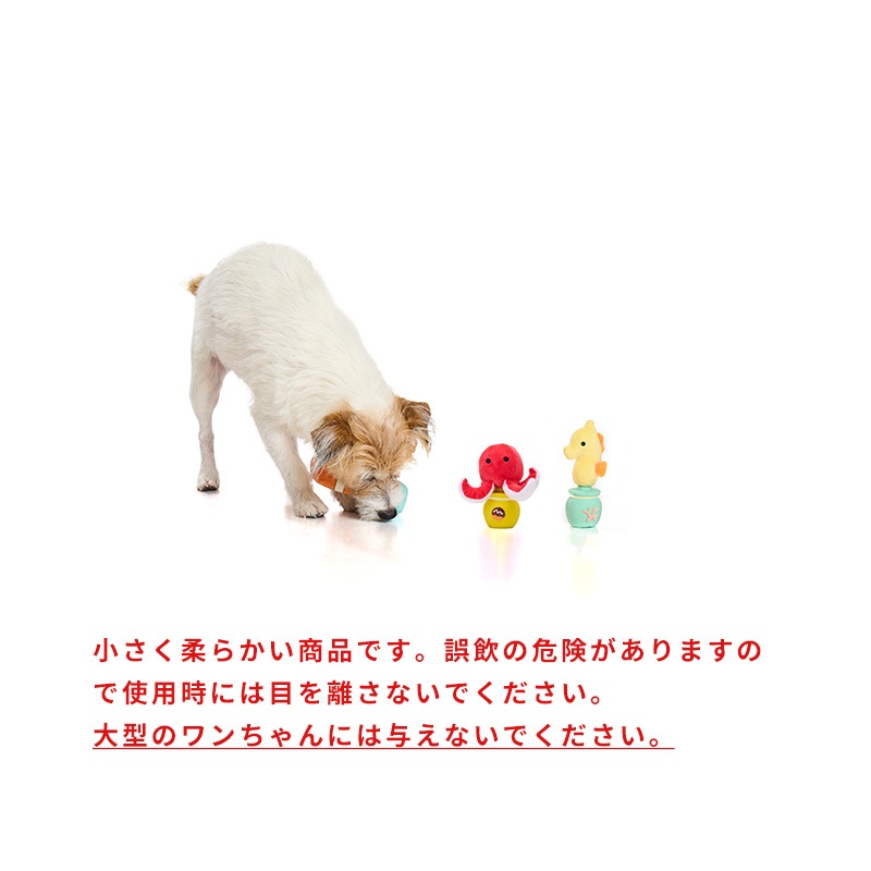 海のかくれんぼラテトイ