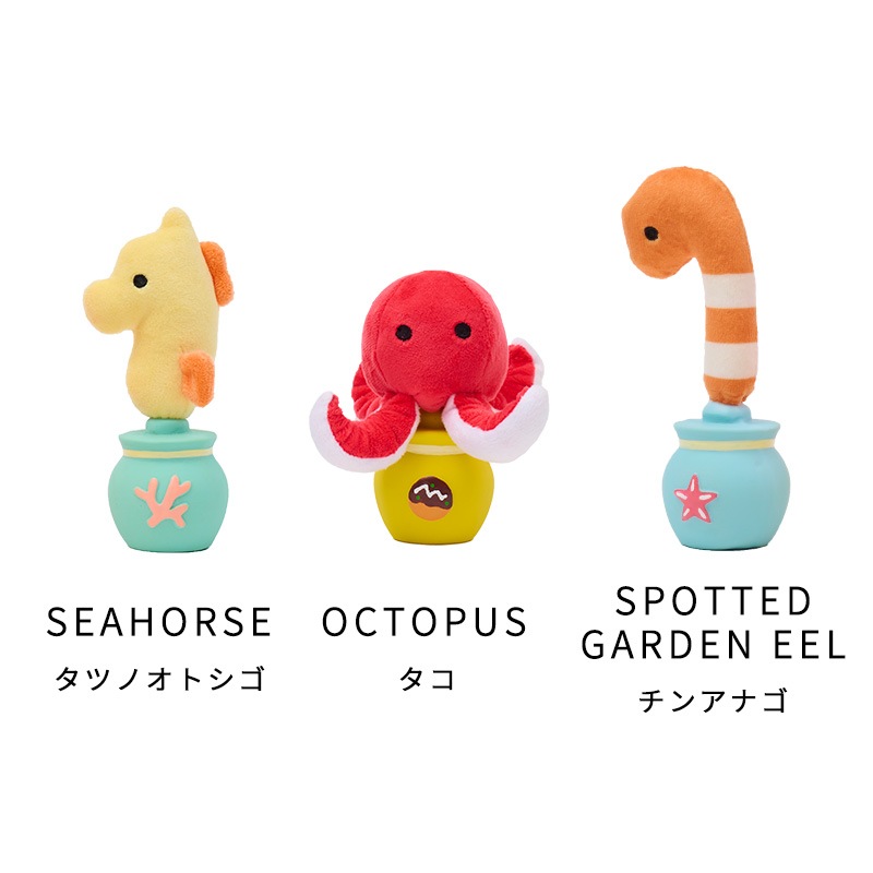 海のかくれんぼラテトイ