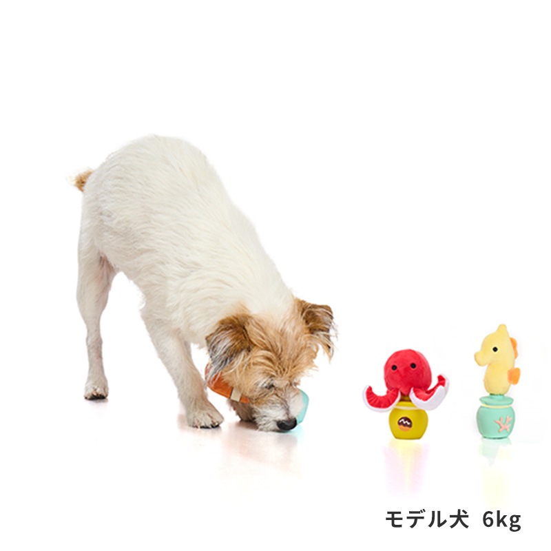 海のかくれんぼラテトイ