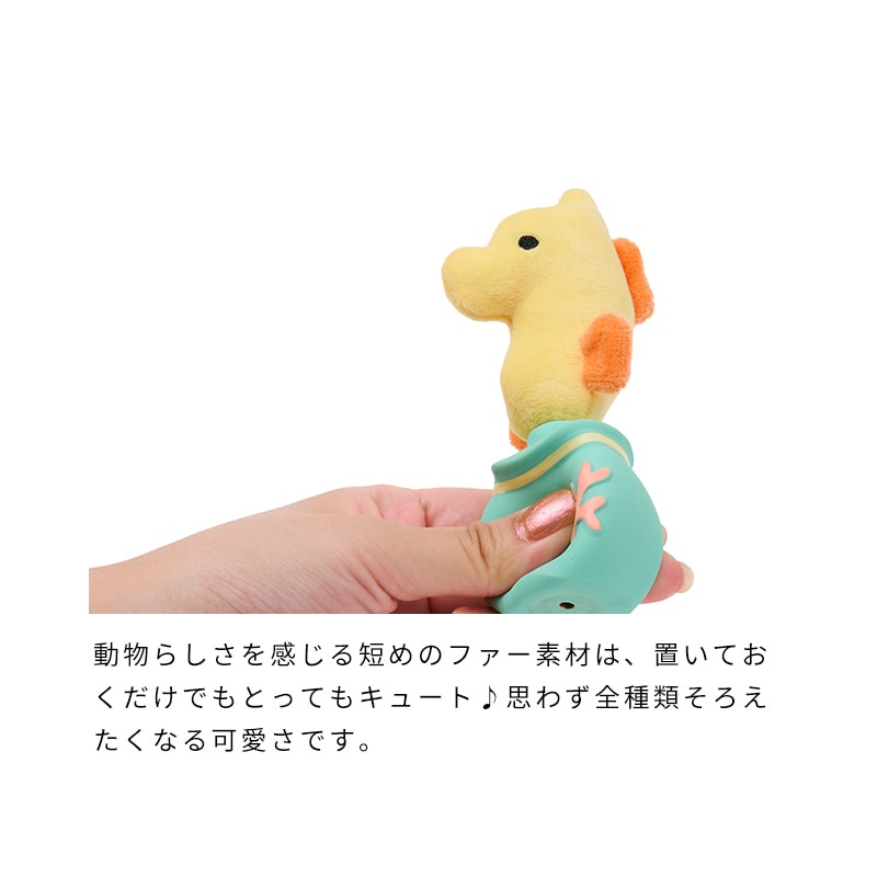 海のかくれんぼラテトイ