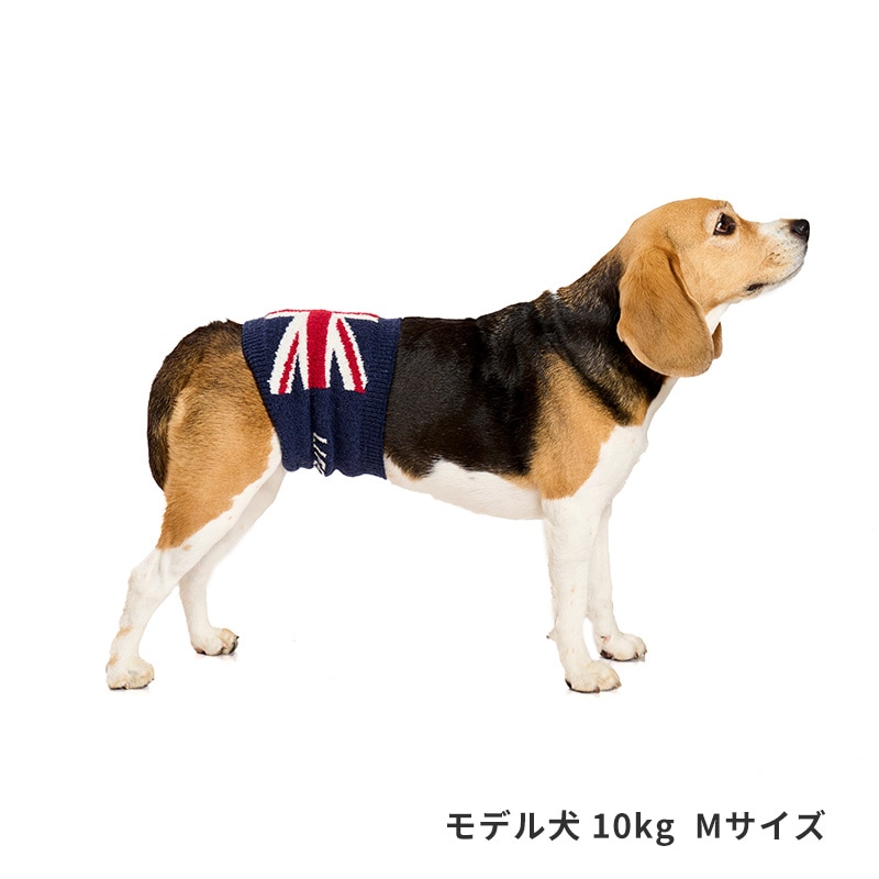 ナショナルフラッグはらまき