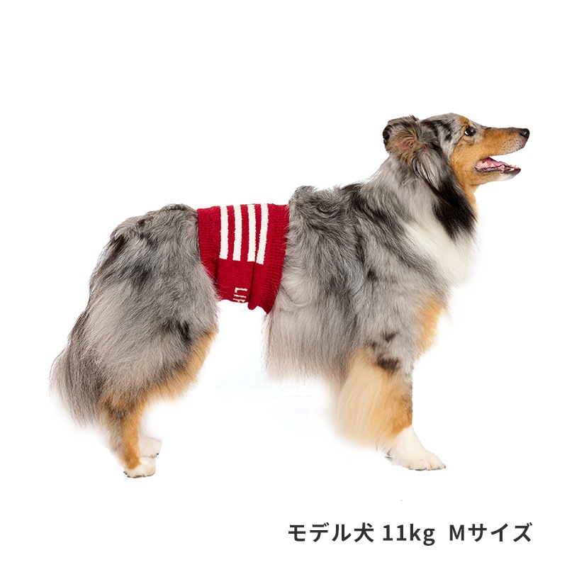 ナショナルフラッグはらまき