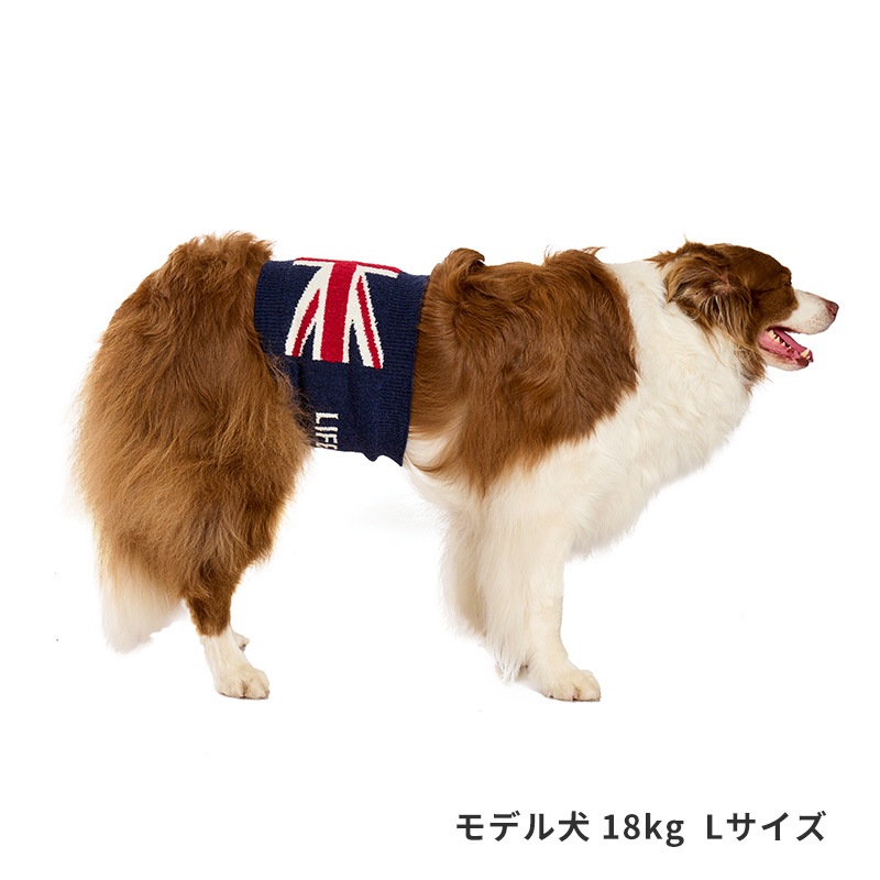 ナショナルフラッグはらまき