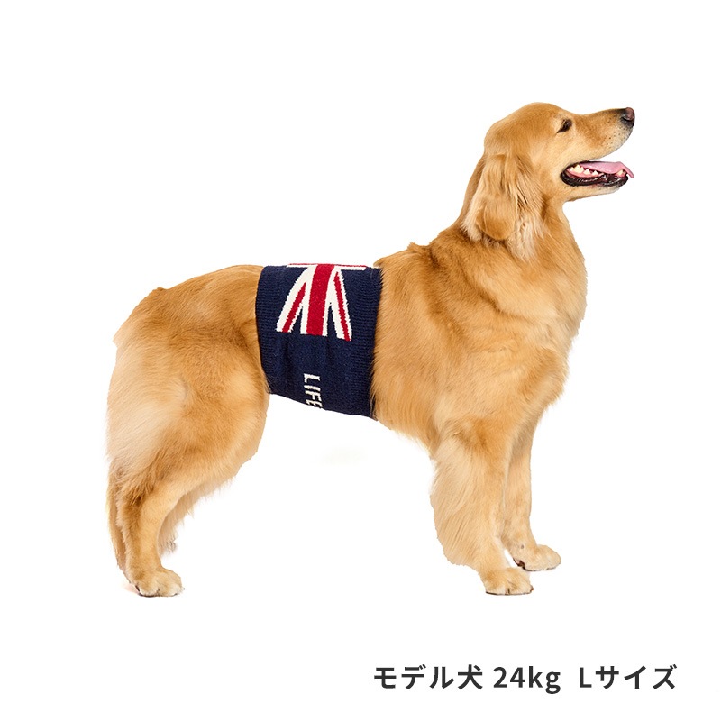 ナショナルフラッグはらまき